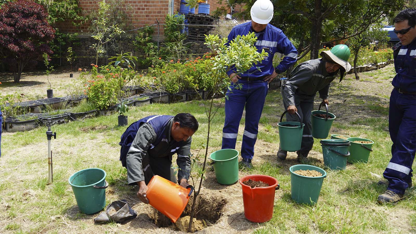 CENTRAL TERMOELÉCTRICA VALLE HERMOSO CUENTA CON MÁS DE 2.600 ESPECIES FORESTALES QUE FAVORECEN AL MICROCLIMA EN COCHABAMBA